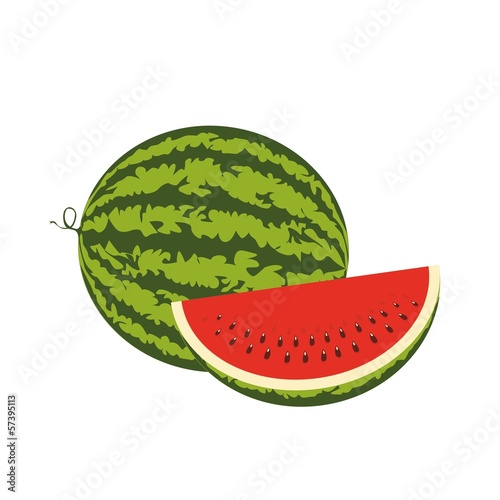 Vector: watermelon watermelon