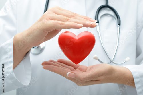 Photo: Doctor holding heart Doctor holding heart