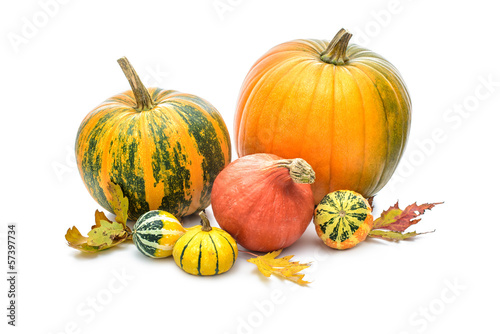 Photo: Pumpkins Pumpkins