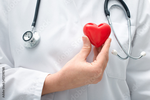 Photo: Doctor holding heart Doctor holding heart