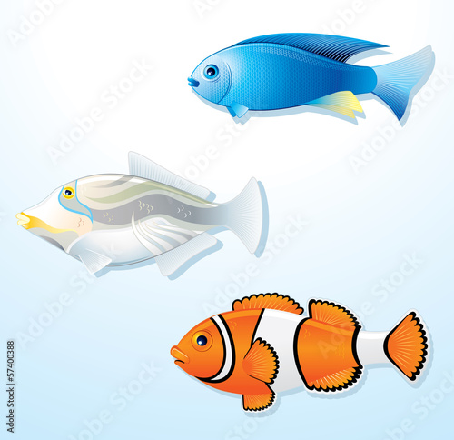Illustration: Exotic Tropical Fishes Exotic Tropical Fishes