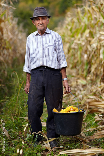 Photo: Old farmer holding a bucket full of corn cob Old farmer holding a bucket full of corn cob