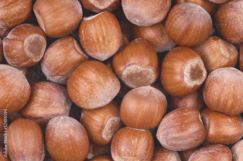 Photo: Hazelnuts background Hazelnuts background