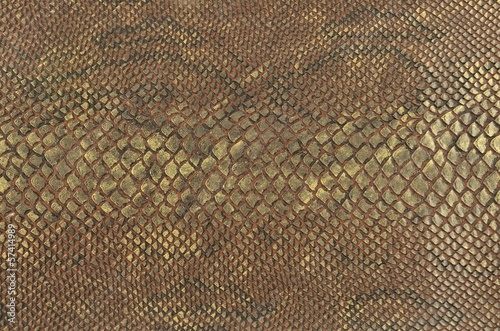 Photo: colour snake skin texture background colour snake skin texture background