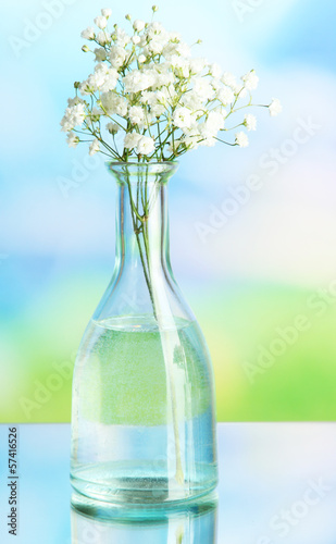 Photo: Flowers in bottle on natural background Flowers in bottle on natural background