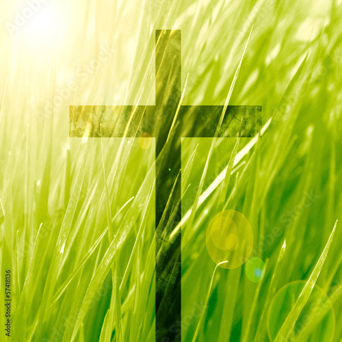Illustration: cross cross