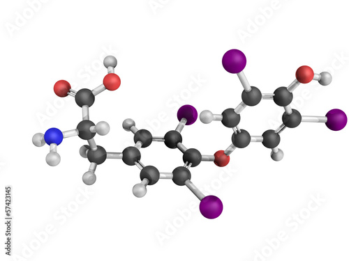 Illustration: Thyroxine thyroid gland hormone molecule Thyroxine thyroid gland hormone molecule