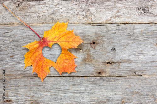 Photo: Fall in love photo metaphor Fall in love photo metaphor