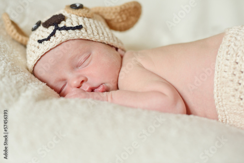 Photo: newborn wearing puppy costume newborn wearing puppy costume