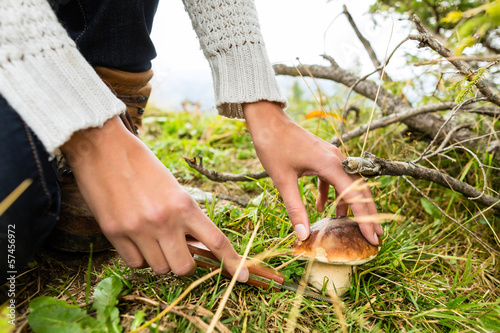Photo: Junge Pilzsucher in den Alpen mit Pilzen Junge Pilzsucher in den Alpen mit Pilzen