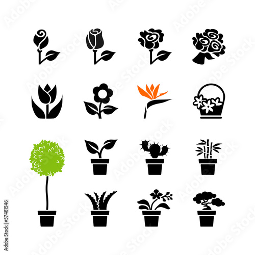 Vector: Web icon set -flowers and potted plants in pots Web icon set -flowers and potted plants in pots