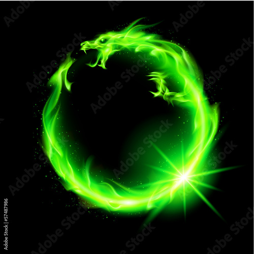 Vector: Fire Chinese dragon. Fire Chinese dragon.