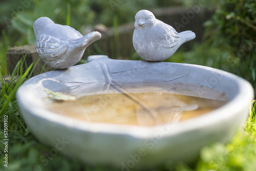 Photo: Wasserschale für Vögel im Garten Wasserschale für Vögel im Garten