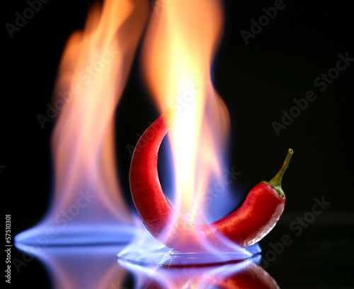 Photo: Red hot chili pepper on fire, isolated on black Red hot chili pepper on fire, isolated on black
