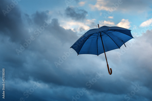 Photo: umbrella umbrella