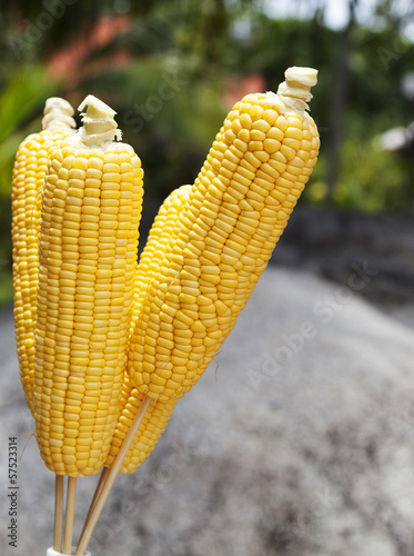 Photo: Maiskolben Maiskolben