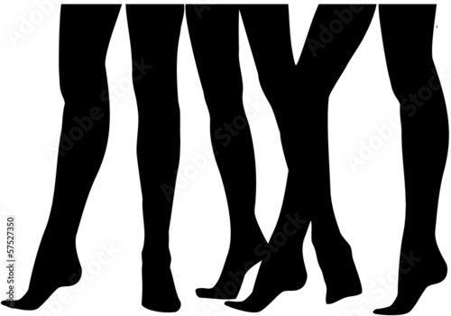 Vector: gambe gambe