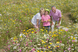 Photo: Smiling grandparents and granddaughter standing among wildflowers in sunny meadow Smiling grandparents and granddaughter standing among wildflowers in sunny meadow