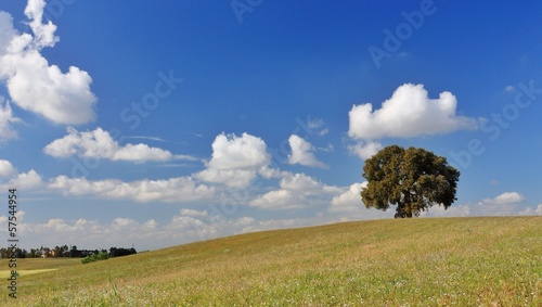 Instant Collection: Tuscany landscape Tuscany landscape