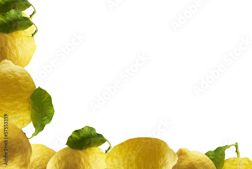 Photo: Cornici di Limoni Cornici di Limoni