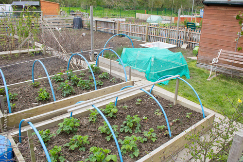 Photo: Allotment garden with raised beds Allotment garden with raised beds