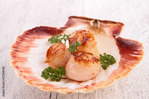 Photo: seared scallop seared scallop
