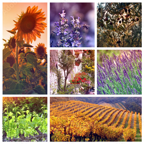 Photo: Colors of Provence, France Colors of Provence, France
