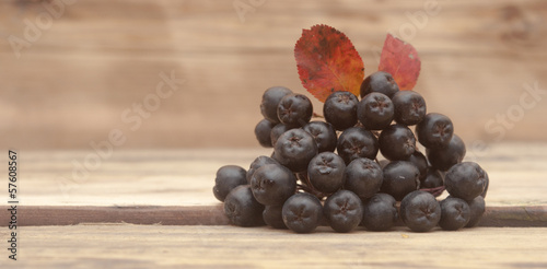 Photo: Black chokeberry (Aronia melanocarpa) berries with leafs on wood Black chokeberry (Aronia melanocarpa) berries with leafs on wood