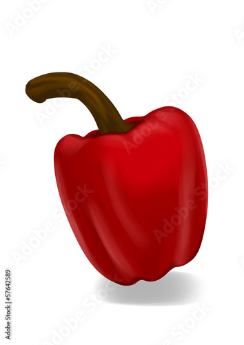 Illustration: Pepper illustration Pepper illustration