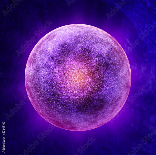 Illustration: Human Egg Cell Human Egg Cell