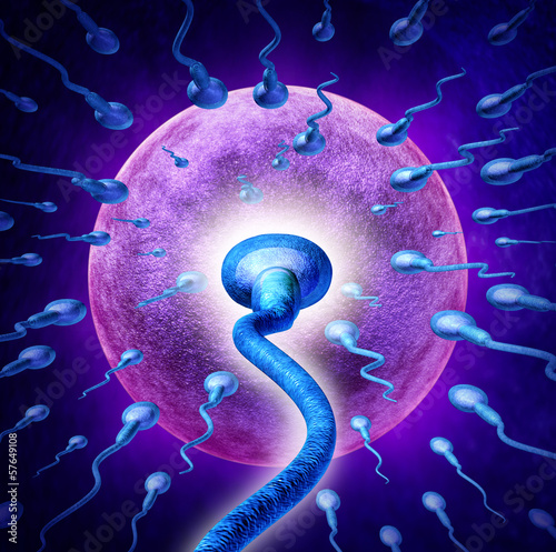 Illustration: Human fertility Human fertility