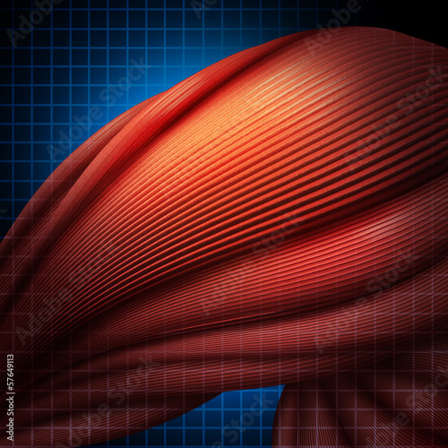 Illustration: Human Muscle Pain Human Muscle Pain