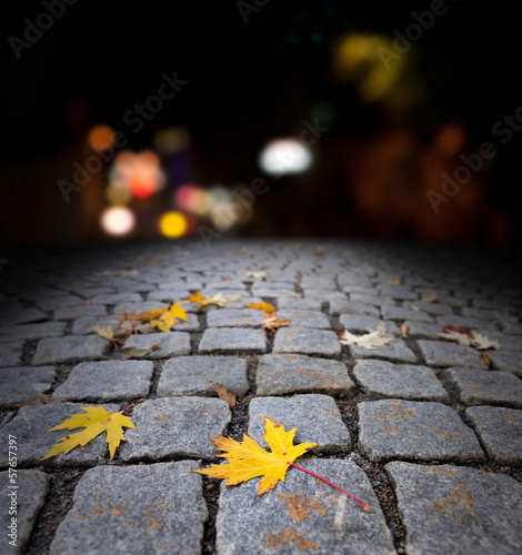 Photo: autumn maple leaf on street at night autumn maple leaf on street at night