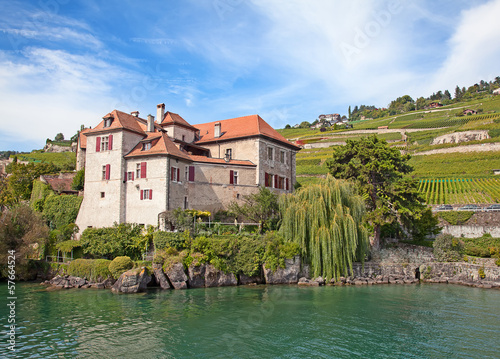 Photo: Lavaux region Lavaux region