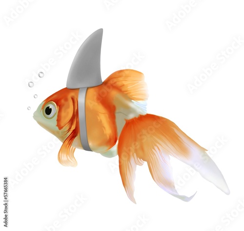 Illustration: pesce rosso squalo pesce rosso squalo