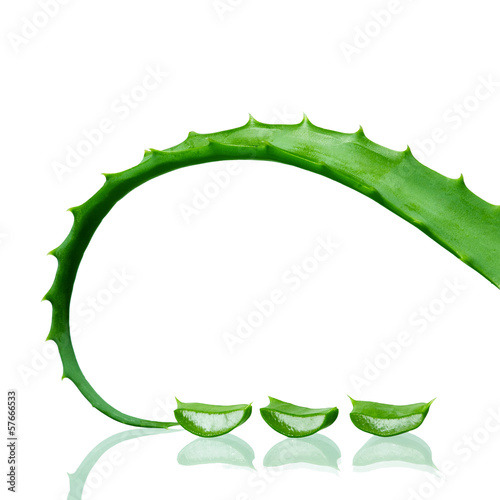 Photo: Aloe Vera leaf with slices Aloe Vera leaf with slices