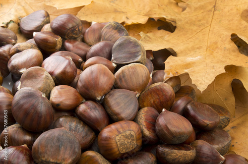Photo: delicious group of chestnuts close up shoot delicious group of chestnuts close up shoot