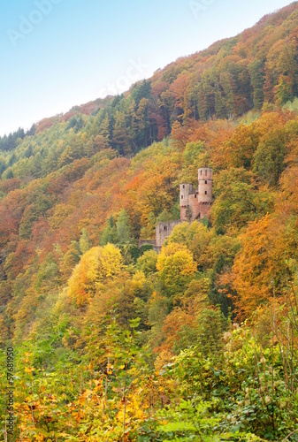 Photo: Burg Schadeck in Neckarsteinach Burg Schadeck in Neckarsteinach