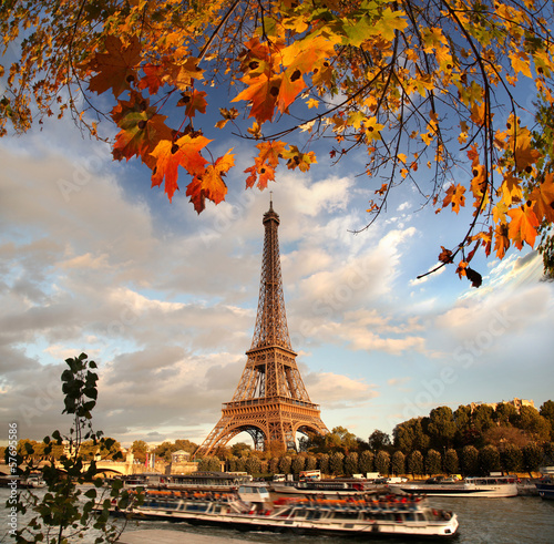  Eiffel Tower with autumn leaves in Paris, France