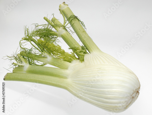 Photo: frischer Fenchel frischer Fenchel