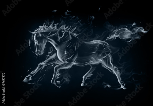 Illustration: Horse Horse