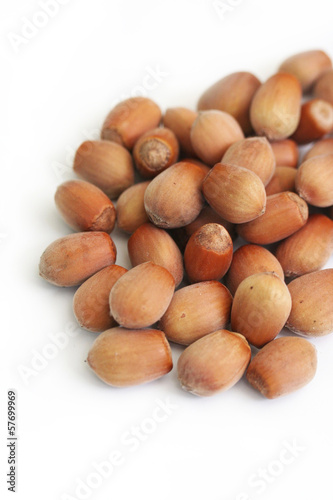 Photo: nocciole_ sfondo bianco nocciole_ sfondo bianco
