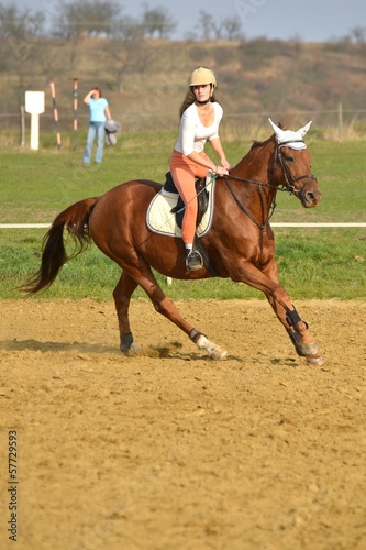 Photo: équitation équitation