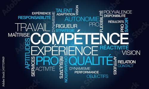 Illustration: Compétence expérience professionnelle emploi nuage de mots Compétence expérience professionnelle emploi nuage de mots