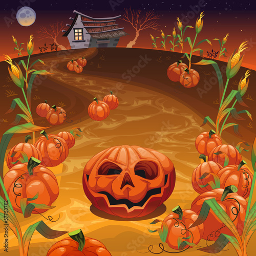 Vector: Pumpkins in the field. Pumpkins in the field.