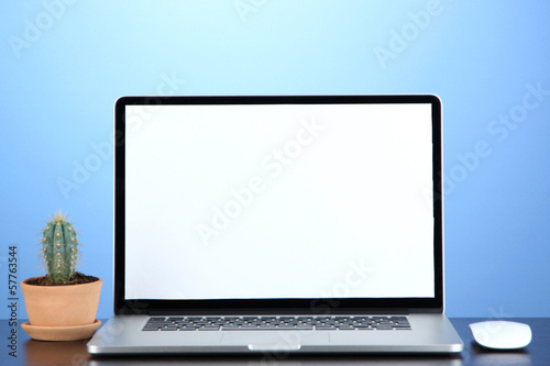 Photo: Laptop and cactus in flowerpot Laptop and cactus in flowerpot