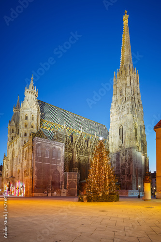 Photo: St. Stephan cathedral and christmas tree St. Stephan cathedral and christmas tree