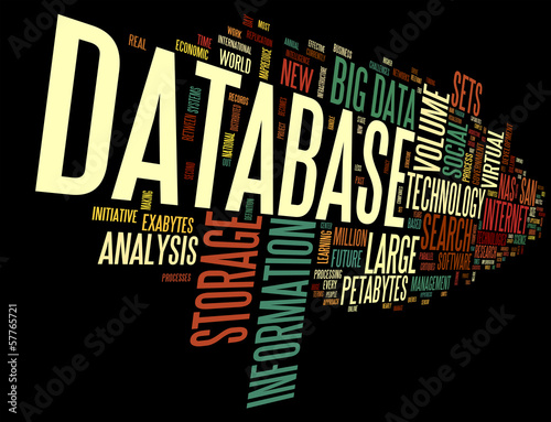 Illustration: Database concept in word cloud Database concept in word cloud