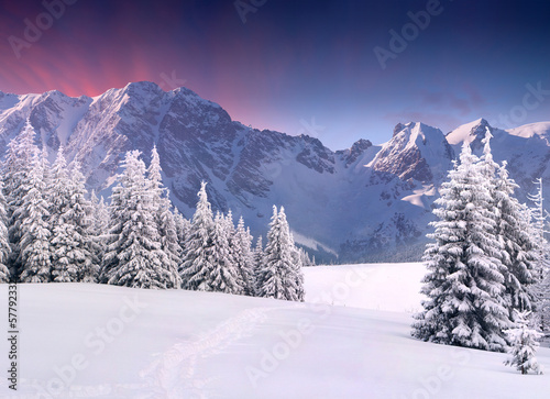 Photo: Beautiful winter landscape in the mountains. Sunrise Beautiful winter landscape in the mountains. Sunrise