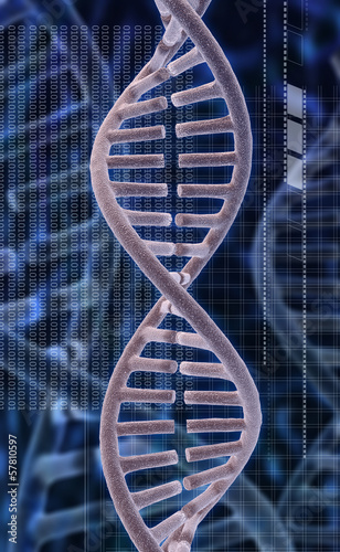 Illustration: dna dna